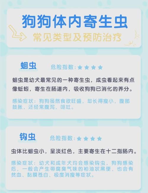 内部寄生虫最新版本常见问题解答与建议