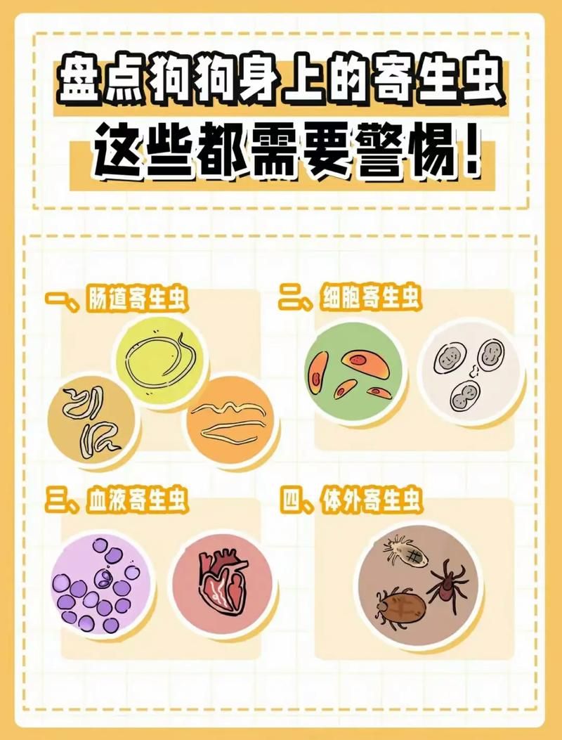 内部寄生虫最新版本常见问题解答与建议