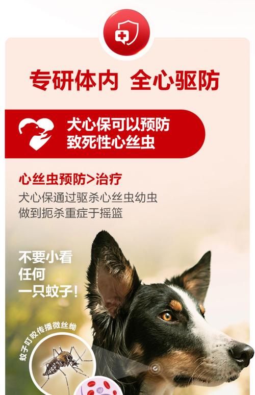 内部寄生虫最新药物推荐 哪种效果最好最安全