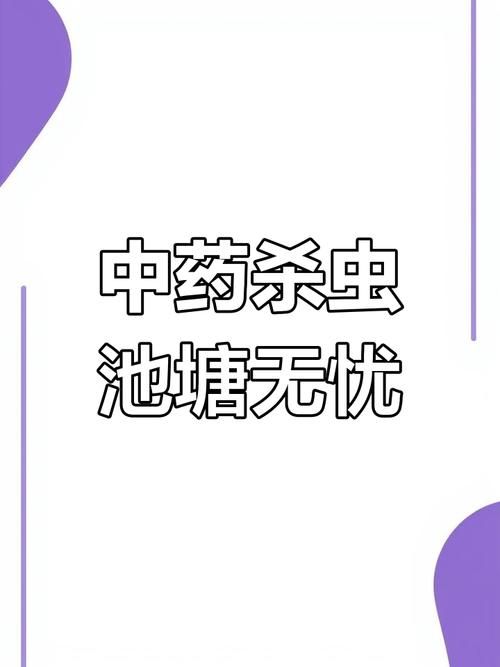 内部寄生虫汉化版下载攻略 轻松获取中文版本