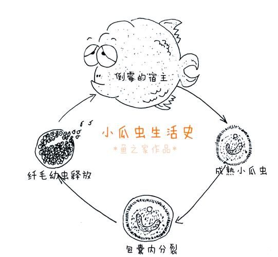 内部寄生虫汉化版下载攻略 轻松获取中文版本
