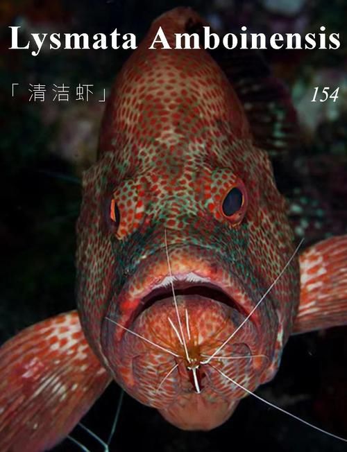内部寄生虫汉化版最新更新内容详解 新增剧情与玩法
