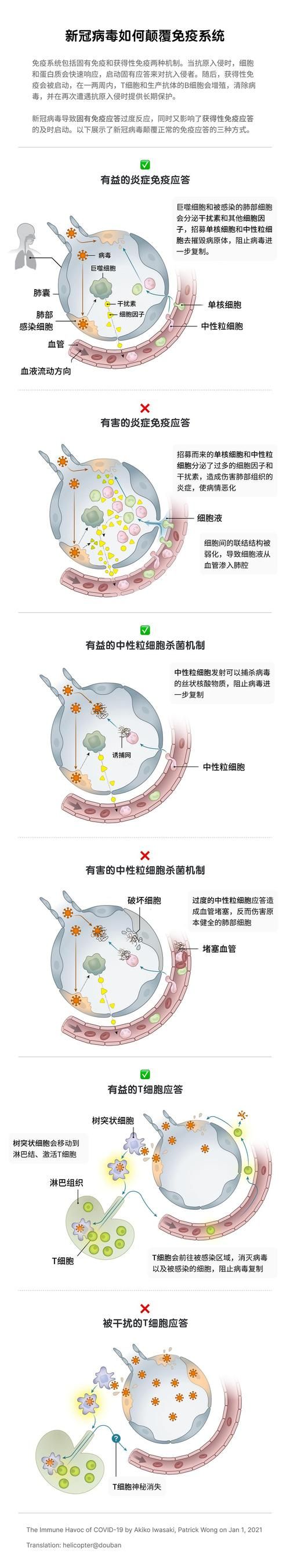 内部寄生虫汉化版最新更新内容详解 新增剧情与玩法