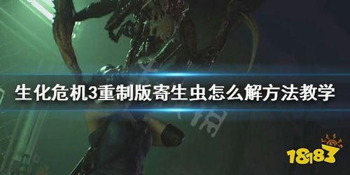 内部寄生虫游戏下载常见问题 安装失败解决方法