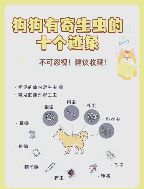 内部寄生虫版本大全 常见类型及症状一览表