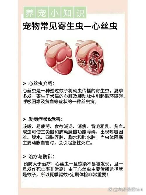 内部寄生虫版本大全 常见类型及症状一览表