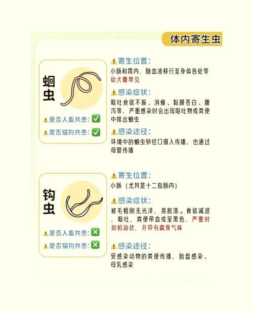 内部寄生虫版本大全 常见类型及症状一览表
