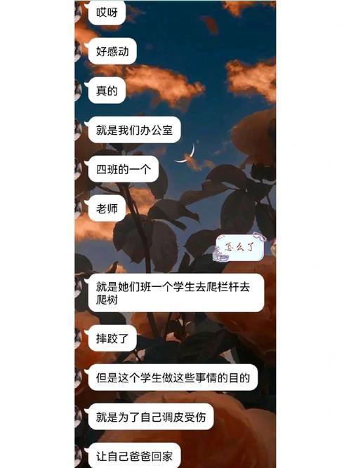 再婚家庭的奇妙故事下载地址分享 感人故事免费获取