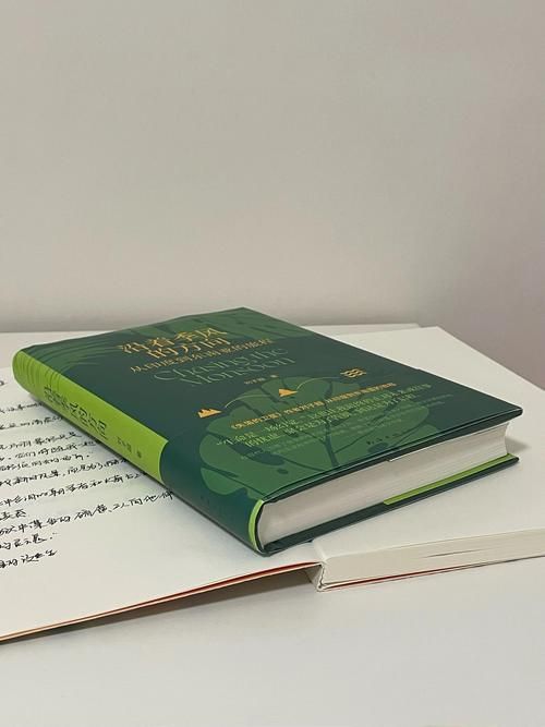 再婚家庭的奇妙故事最新版本带你感受家的温暖