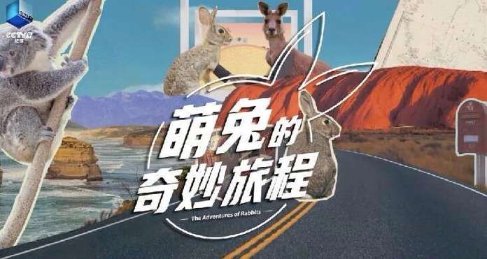 再婚家庭的奇妙故事游戏剧情解析 隐藏结局揭秘