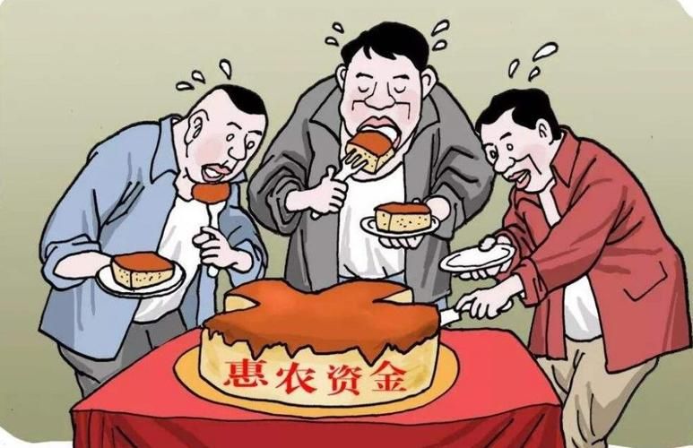 农民的追求官方网站上线 分享农村故事与致富经验