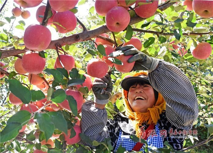 农民的追求官网正版下载 安卓苹果双端安装教程