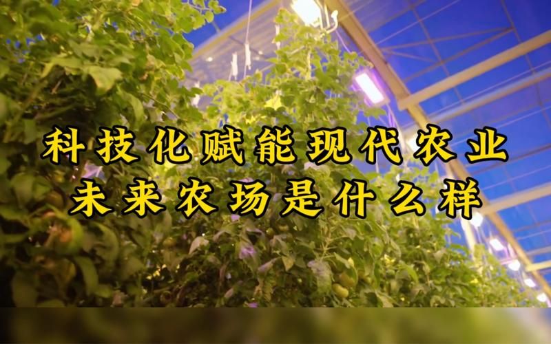 农民的追求最新发展方向 未来农业会变成什么样