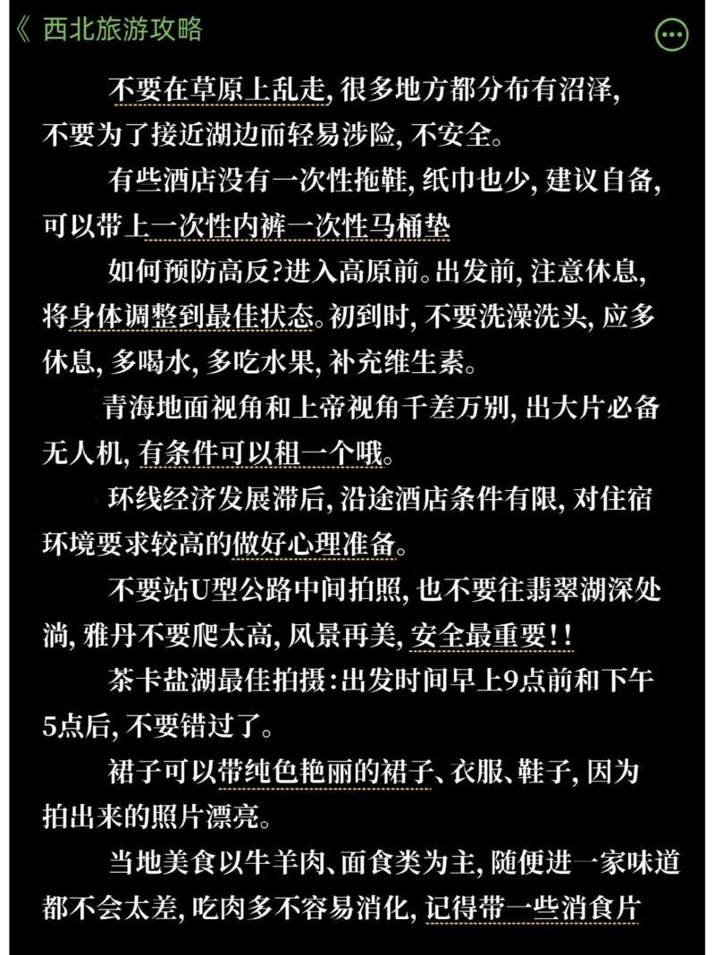 冬日狂想曲游戏下载注意事项 避坑指南与版本选择建议