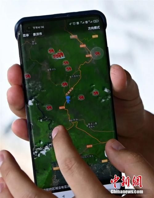 冲突的意志下载地址在哪 最新资源一键获取