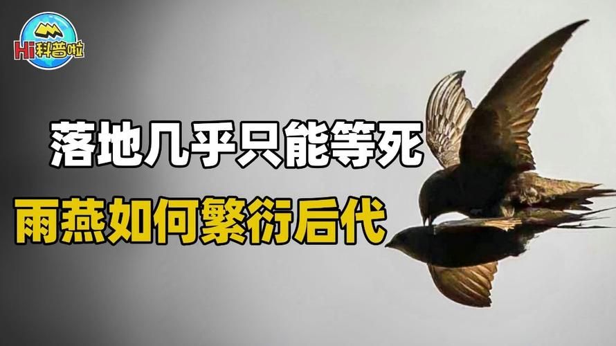 几乎死亡在哪下载 免费完整版下载攻略