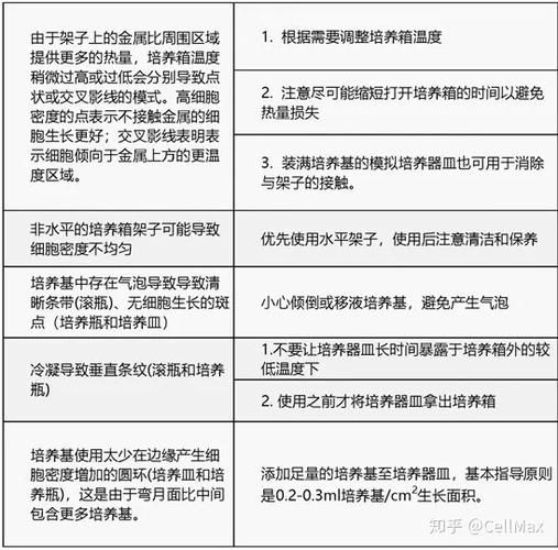 几乎死亡如何下载 详细步骤与常见问题解答