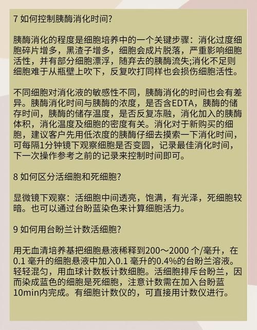 几乎死亡如何下载 详细步骤与常见问题解答