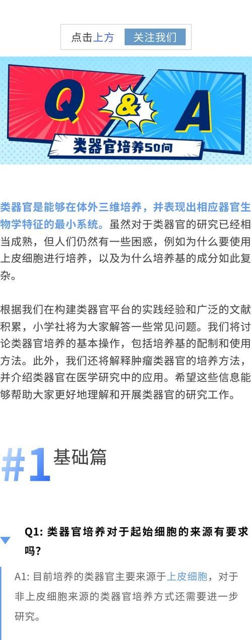 几乎死亡如何下载 详细步骤与常见问题解答