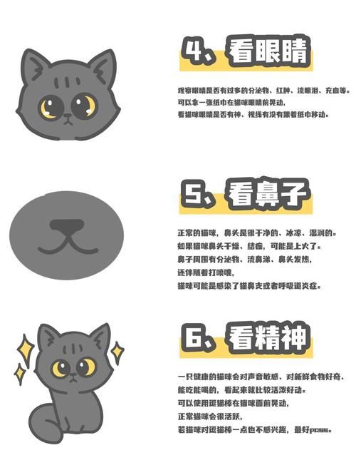 几乎死亡官网注册教程 新手必看游戏入门指南