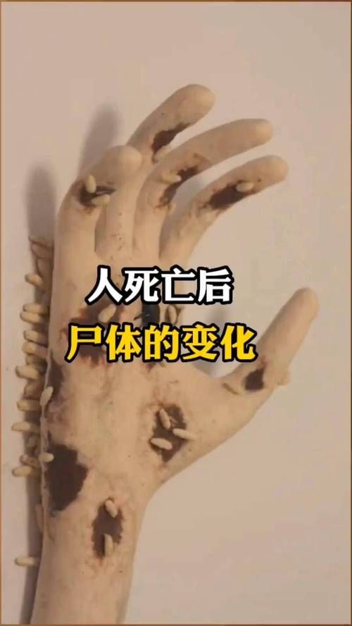 几乎死亡最新科学解释 原来真相是这样