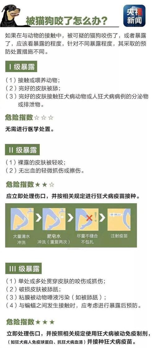 几乎死亡最新科学解释 原来真相是这样