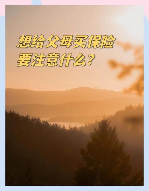几乎死亡汉化版最新更新内容一览 这些改动太关键了