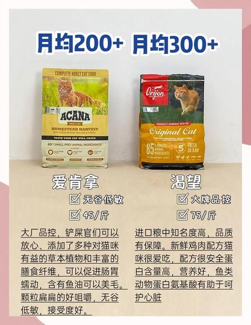 几乎死亡汉化版最新更新内容一览 这些改动太关键了