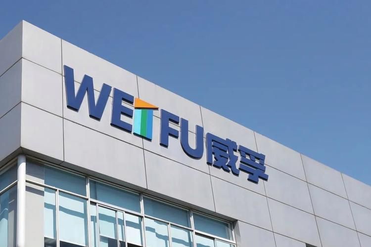 凤凰V11外传Wet下载地址及安装指南