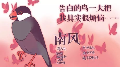 凤凰V11外传Wet安卓新手入门攻略大全