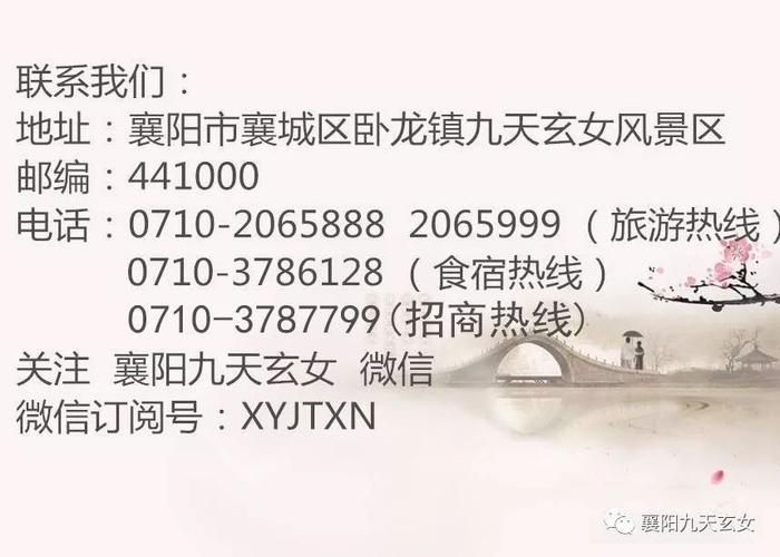 凤凰V11外传Wet安卓版本下载步骤解析