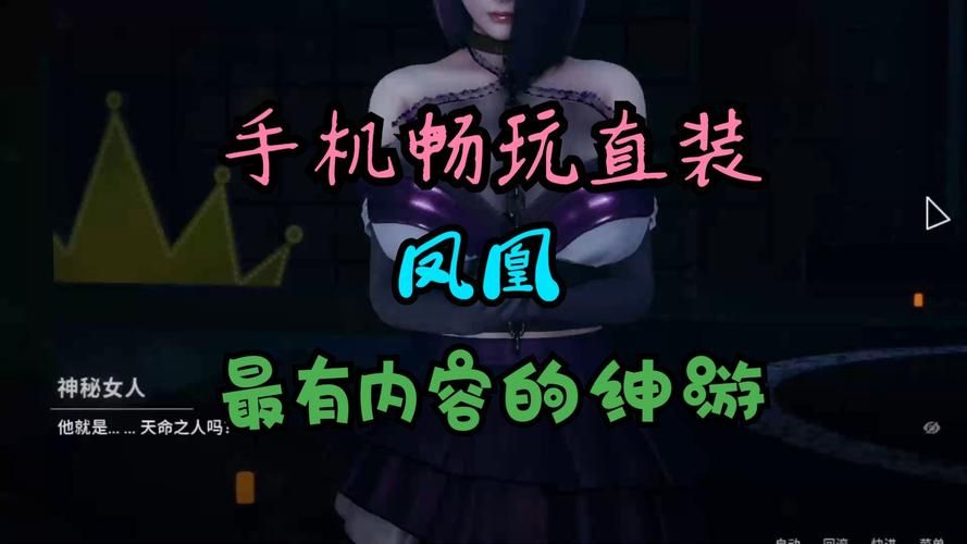 凤凰V11外传Wet汉化版下载 游戏体验与安装教程