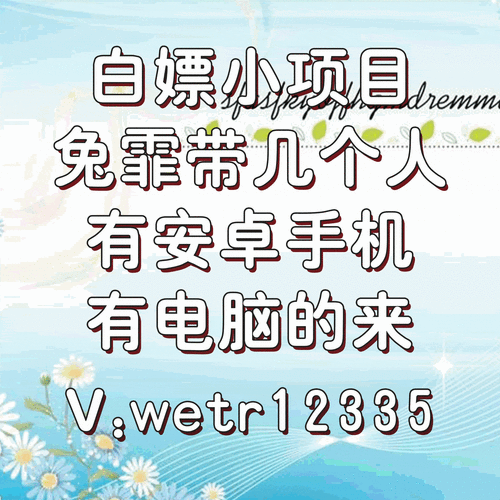 凤凰V11外传Wet汉化版下载 游戏体验与安装教程