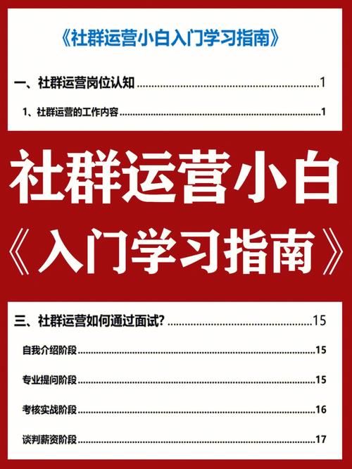 凤凰如何下载 小白也能轻松学会的安装指南 凤凰如何下载 小白也能轻松学会的安装指南