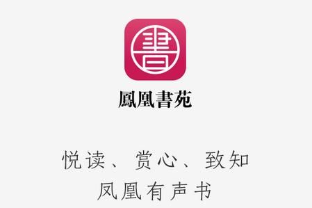 凤凰安卓汉化包下载 最新版本一键安装即用