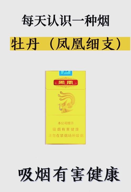 凤凰最新版本和旧版对比哪个更好用