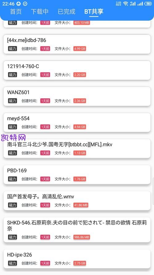 凯特最新版本是多少 功能对比与使用体验分享