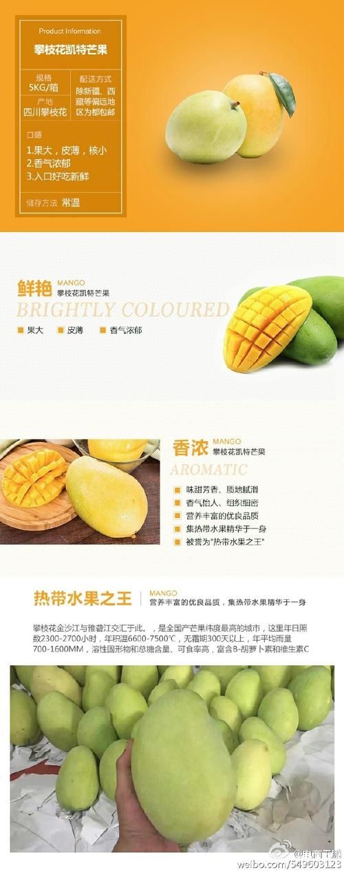 凯特最新版本是多少 功能对比与使用体验分享 凯特最新版本是多少 功能对比与使用体验分享