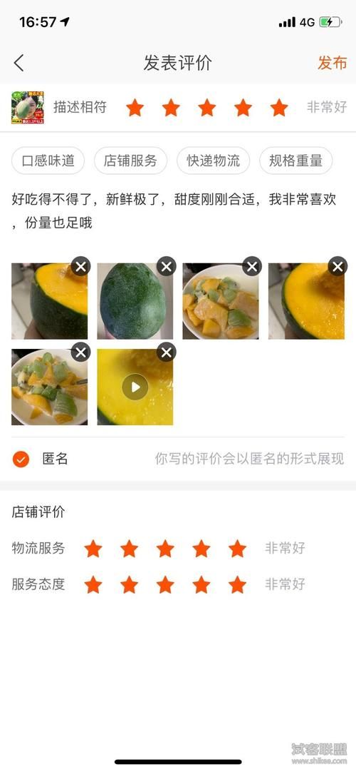 凯特最新版本是多少 功能对比与使用体验分享 凯特最新版本是多少 功能对比与使用体验分享