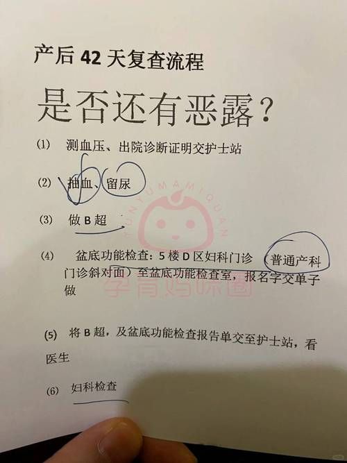 出生证明下载安卓应用推荐及教程