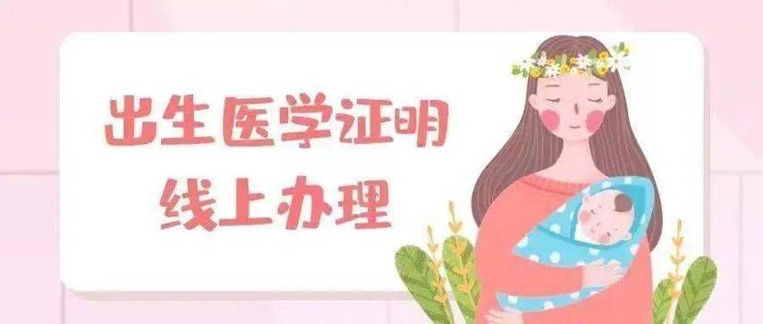 出生证明下载流程详解新手也能轻松搞定