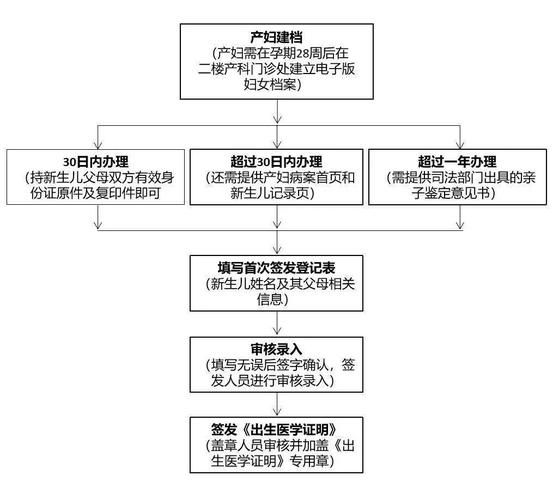 出生证明如何下载电子版 最新流程一览
