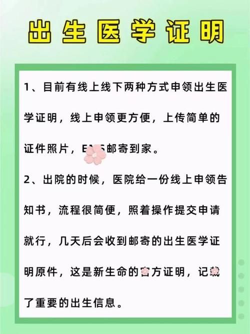 出生证明如何下载电子版 最新流程一览