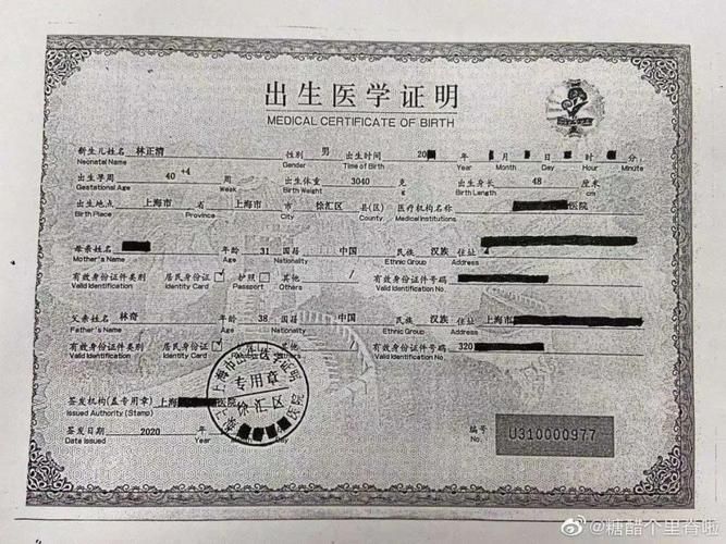 出生证明官方网站办理需要哪些材料清单