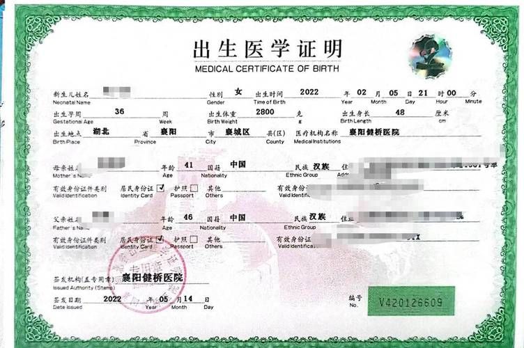 出生证明更新地址怎么办理 详细步骤一看就懂