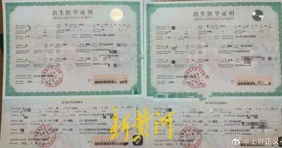 出生证明最新版本是多少 新旧版本区别对比