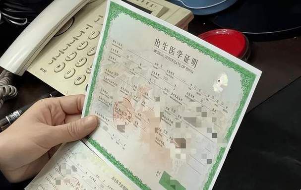 出生证明最新版本是多少 新旧版本区别对比
