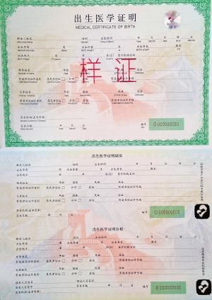 出生证明最新版本是多少 新旧版本区别对比