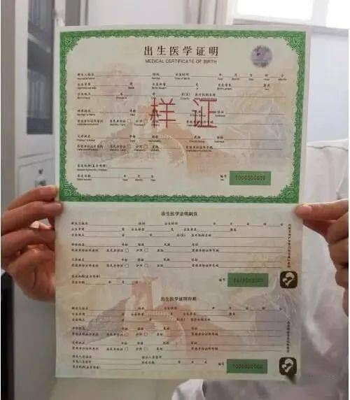 出生证明最新版本是多少 新旧版本区别对比