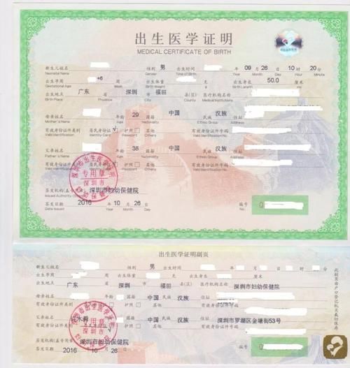 出生证明最新版本是多少 新旧版本区别对比